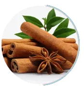 glucoextend cinnamon